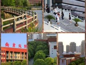 南京交院 4p 是什么？为何它如此神秘？如何才能了解它？