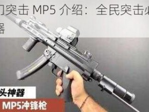 热门突击 MP5 介绍：全民突击必备神器