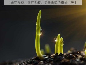 嫩芽视频【嫩芽视频：探索未知的奇妙世界】