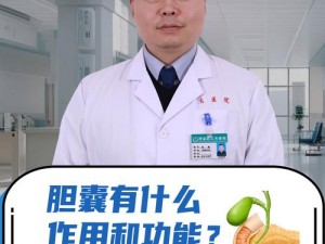 西西人体太胆有什么用？如何提升？