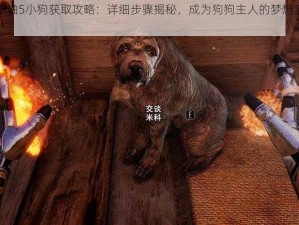 上古卷轴5小狗获取攻略：详细步骤揭秘，成为狗狗主人的梦想实现指南