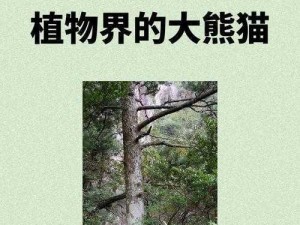 哪种树是我国特有物种，有植物界活化石之称？