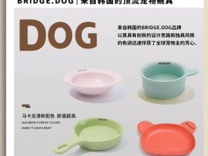 ZoomDog 的最新版本，带给你前所未有的宠物互动体验