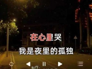 夜晚总是让人感到孤独和无聊，有哪些软件可以陪伴我们度过夜晚呢？