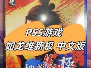 如龙维新流程攻略：全面解析与实战操作指南