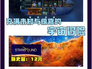 体验神秘星空之旅，探索未知游戏世界——《星空》游戏介绍