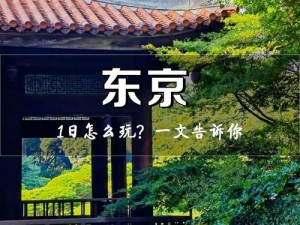 东京印象主题曲，带你领略日本之美