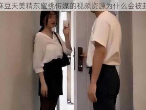 69 麻豆天美精东蜜桃传媒的视频资源为什么会被封禁？