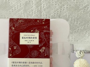 那些荒唐混乱的岁月是怎样的书？为何让人如此困惑迷茫？