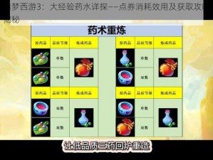 造梦西游3：大经验药水详探——点券消耗效用及获取攻略揭秘