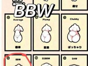 为什么大号 BBWBBWBBwBBW 如此受欢迎？如何挑选适合的大号 BBWBBWBBwBBW？