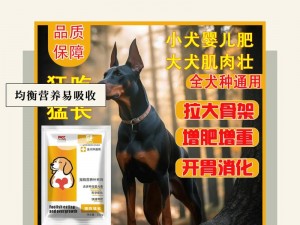 狗狗太瘦怎么办？用狗狗猛涨精肉狗大壮增肥增食欲就可以