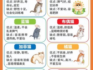 如何领养小森生活家的猫咪？野猫咪领养攻略大放送