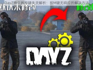 DayZ独立版按键失灵解析：按M键无响应的解决方法