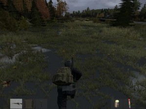 DayZ 独立版基础教学视频：从零开始，教你成为生存大师