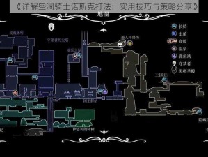 《详解空洞骑士诺斯克打法：实用技巧与策略分享》