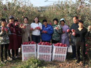 掌握选址技巧，畅享全民农场苹果种植乐趣