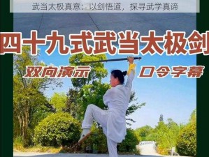 武当太极真意：以剑悟道，探寻武学真谛