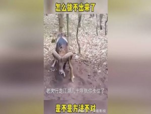 老师下面太紧拔不出来怎么矫;老师下面太紧拔不出来怎么办？