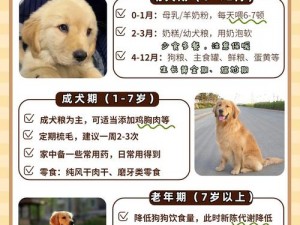 狗配人怎样配一：专业犬类繁殖指导手册