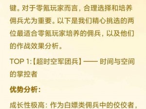 《环形战争：佣兵之路——深度解析升级培养策略》