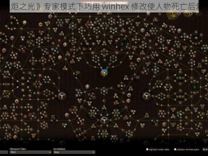 《火炬之光》专家模式下巧用 winhex 修改使人物死亡后复活》