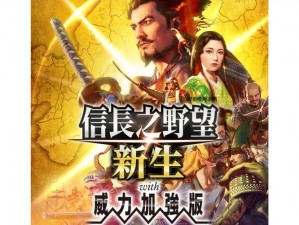 《信长之野望13：天道威力增强版》游戏深度吐槽：玩家体验改进与期望落差探讨