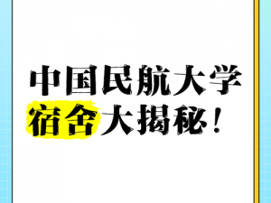 大学生宿舍飞机china free、如何在大学生宿舍中实现飞机 china free？