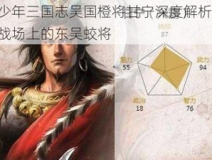 少年三国志吴国橙将甘宁深度解析：战场上的东吴蛟将