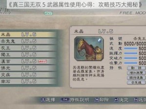 《真三国无双 5 武器属性使用心得：攻略技巧大揭秘》