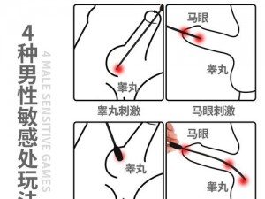 马背上有一根按摩棒-马背上的按摩棒：是意外还是另有隐情？