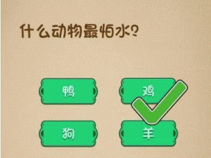 什么动物最怕水？微信最强大脑大乱斗第 10 关答案大揭秘