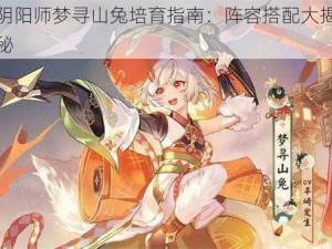 阴阳师梦寻山兔培育指南：阵容搭配大揭秘