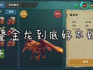 创造魔法世界：驯服神秘飞龙坐骑的秘诀与攻略