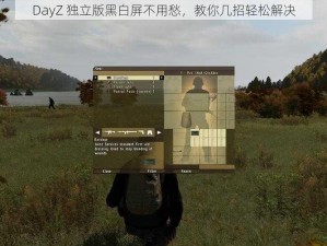 DayZ 独立版黑白屏不用愁，教你几招轻松解决