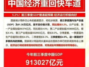 为什么国产 2 区的发展如此迅速？如何提升国产 2 区的竞争力？怎样解决国产 2 区面临的挑战？