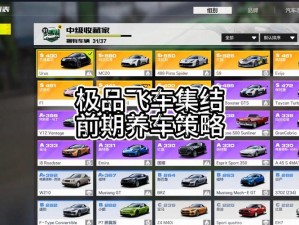 极品飞车1：秘籍大全，掌握技巧成就极速传奇