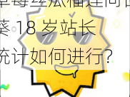 草莓丝瓜榴莲向日葵 18 岁站长统计如何进行？