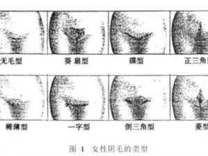 中国成熟妇女毛茸茸、中国成熟妇女的私密部位为何会长出毛发？