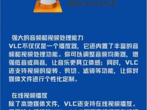 JAPONENSISJ 啊 vA 成熟欢迎您图片，功能强大的多媒体播放器