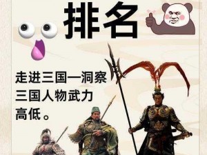 《三国乱世风云起，谁是傲视群雄的武将招募者？》