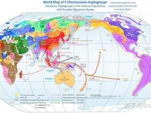 石器时代：偷渡者的生存智慧与迁徙之谜探秘之旅