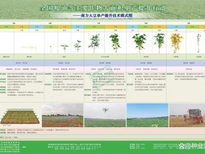 麻豆精产国品一二三产区区别大吗 麻豆精产国品一二三产区有哪些区别？