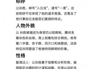 全民水浒五星紫卡公孙胜深度解析：揭秘他的强大技能与实用策略