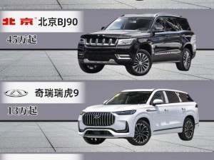 国产 SUV 精品一区为何如此受欢迎？有何特别之处？