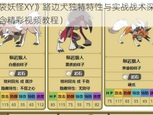 《口袋妖怪XY》路边犬独特特性与实战战术深度解析（含精彩视频教程）