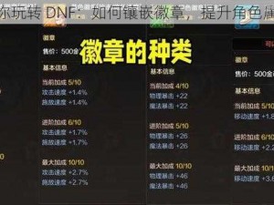 教你玩转 DNF：如何镶嵌徽章，提升角色属性