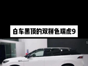 为什么国产 SUV 精二区九色如此受欢迎？