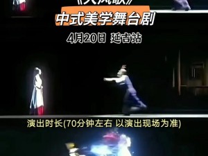 为什么找不到大但人文艺术表演视频？这里有你想要的