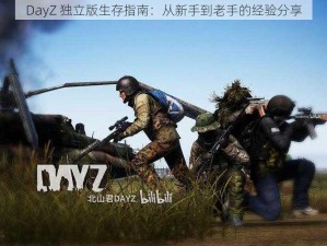 DayZ 独立版生存指南：从新手到老手的经验分享